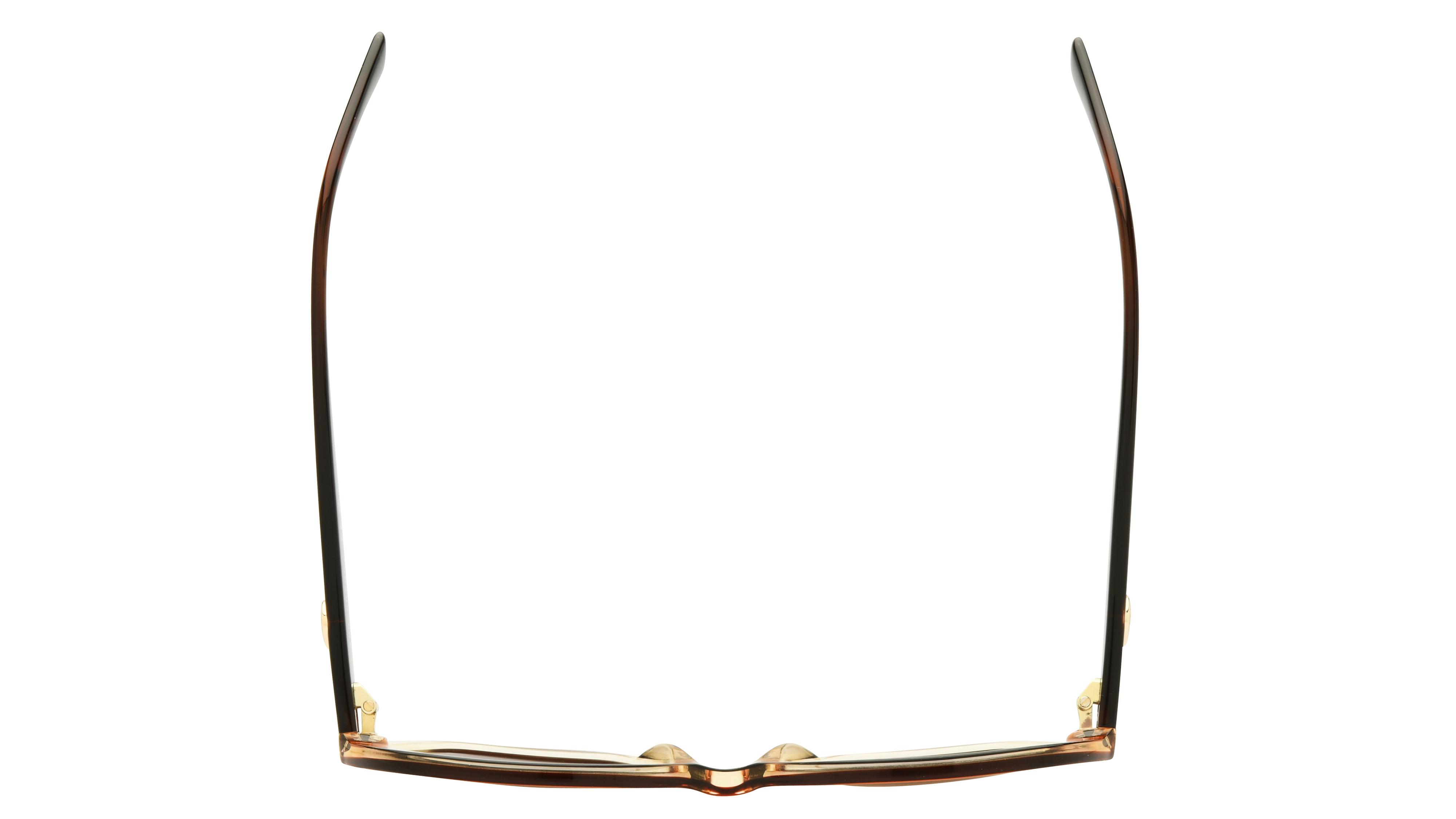 Lunettes de soleil Longchamp Femme Marron Rectangle LO759S Dessus