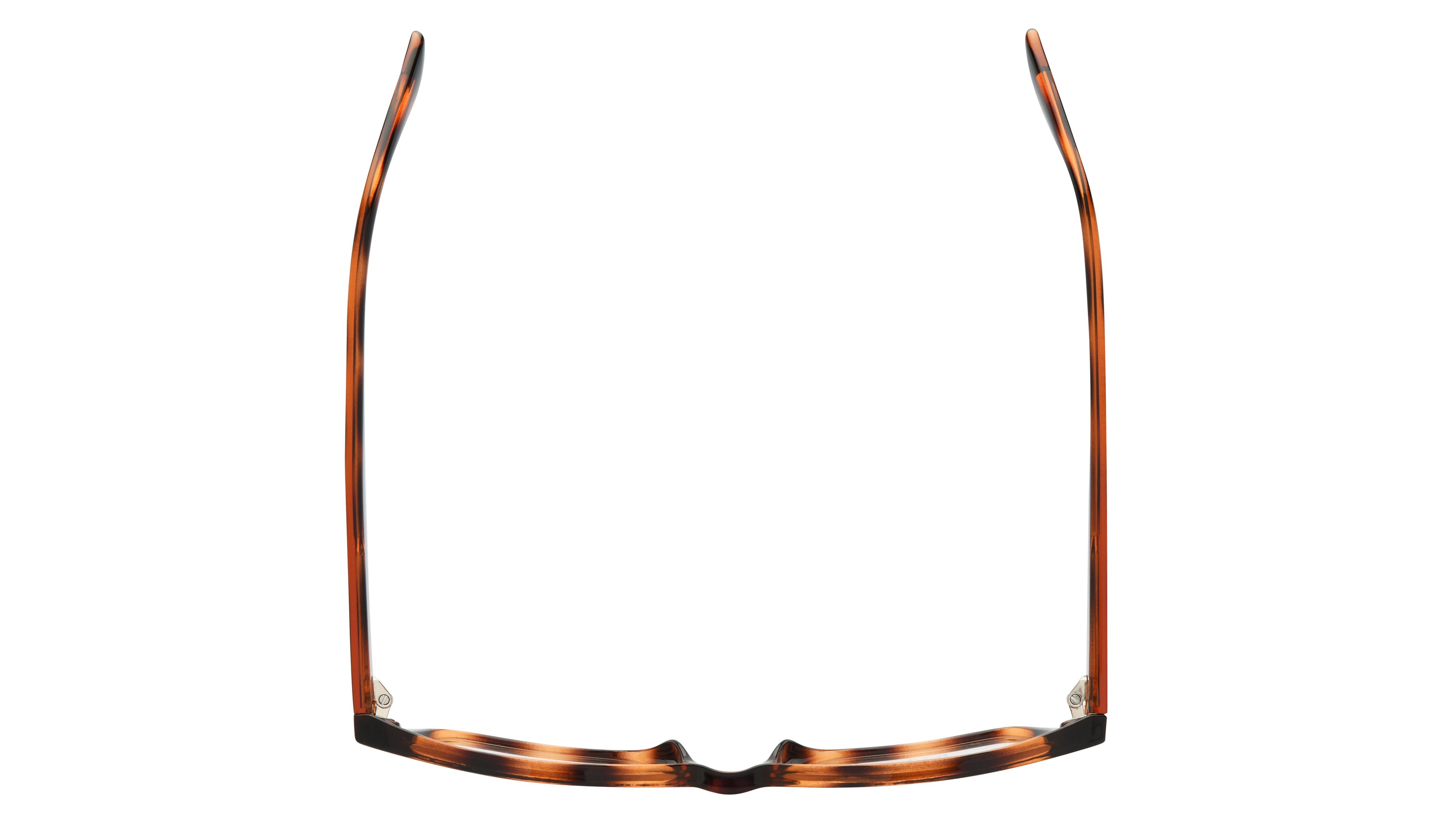Lunettes de vue têtes à TETES Femme Ecaille Papillonnante tat2601 Dessus