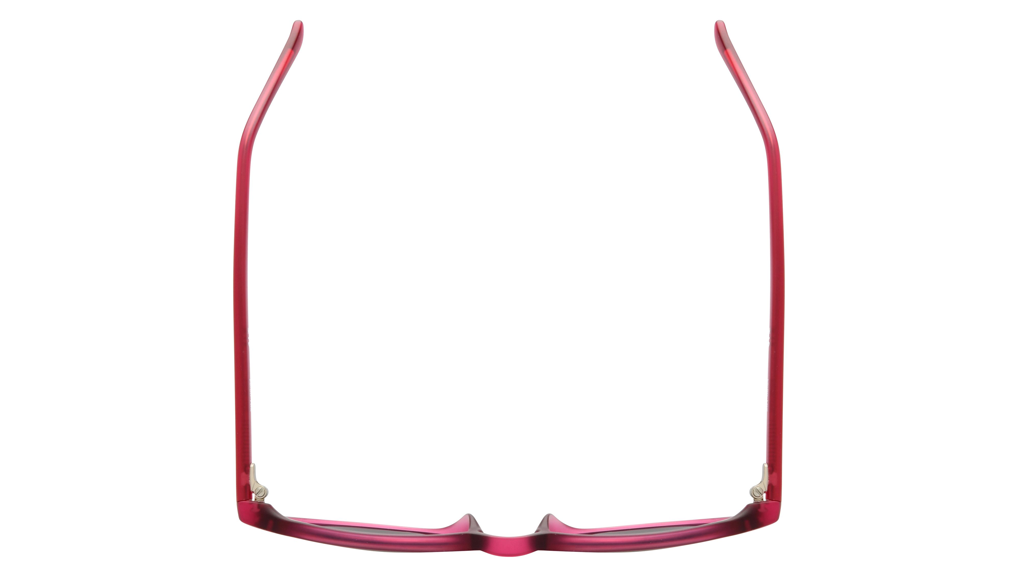 Lunettes de soleil Alternance Mixte Rose Pantos Alt Dessus