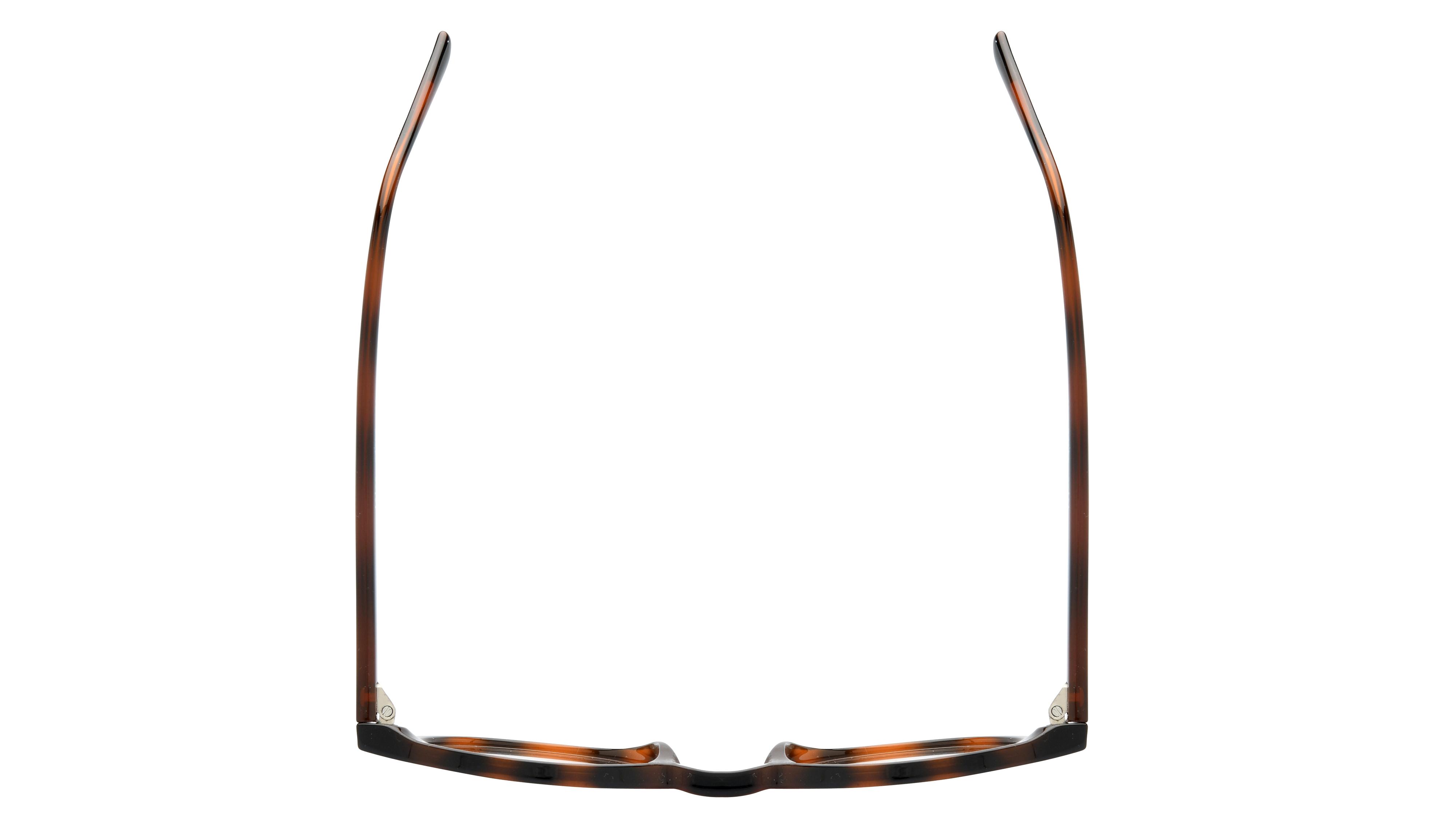 Lunettes de vue têtes à TETES Homme Ecaille Pantos Tat2404 Dessus