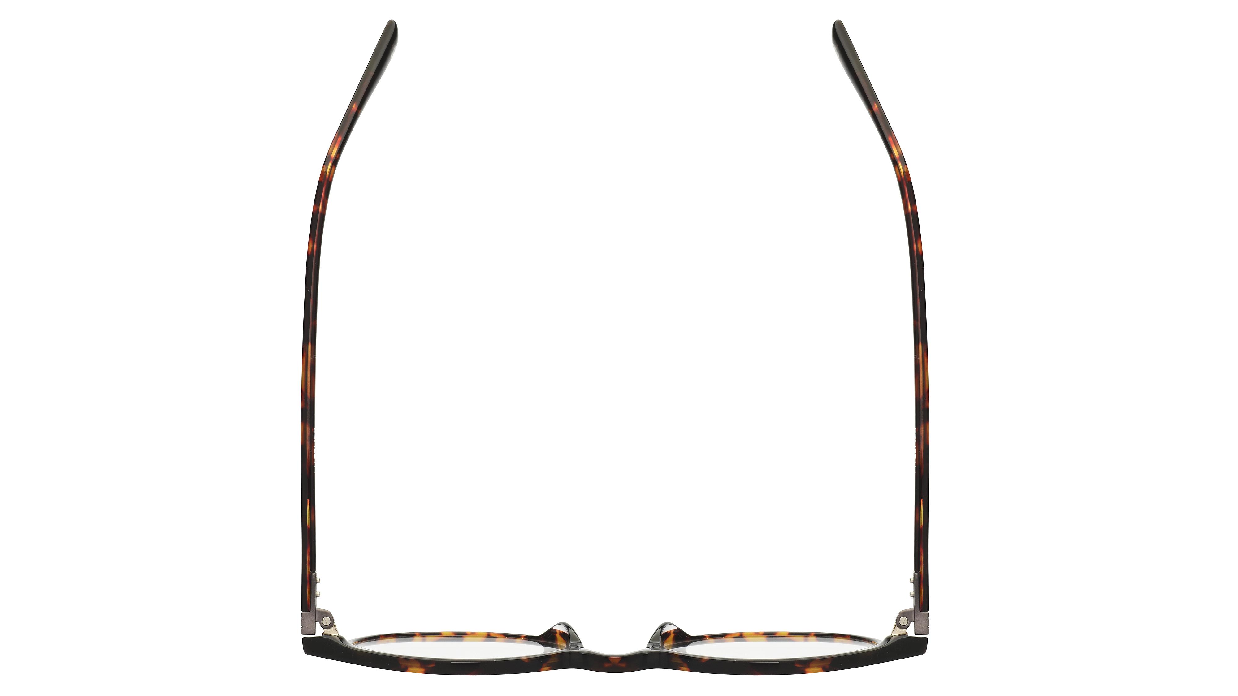 Lunettes de vue L'Atelier du Faubourg Homme Ecaille Pantos Adf2001 Dessus
