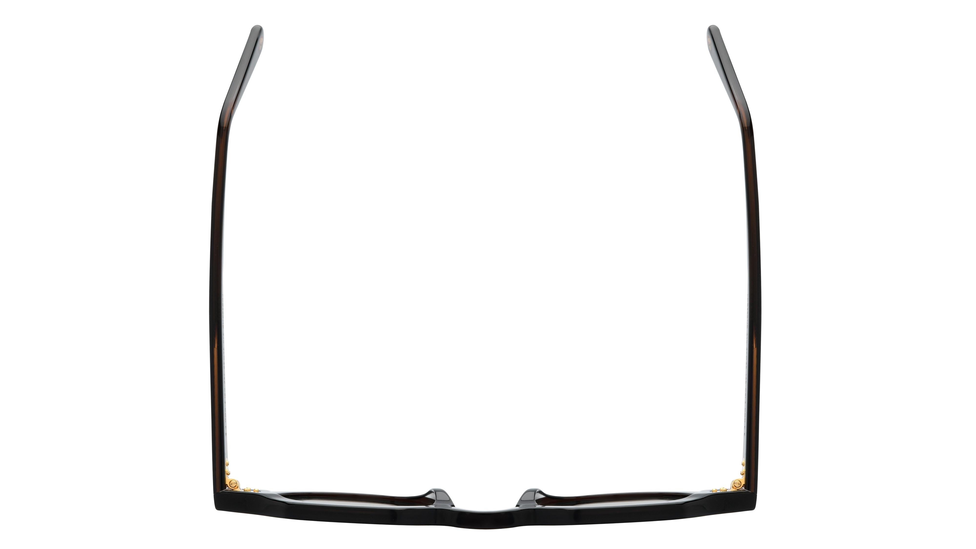 Lunettes de soleil Le Coq Sportif Homme Marron Pantos Lcs2501/S Dessus