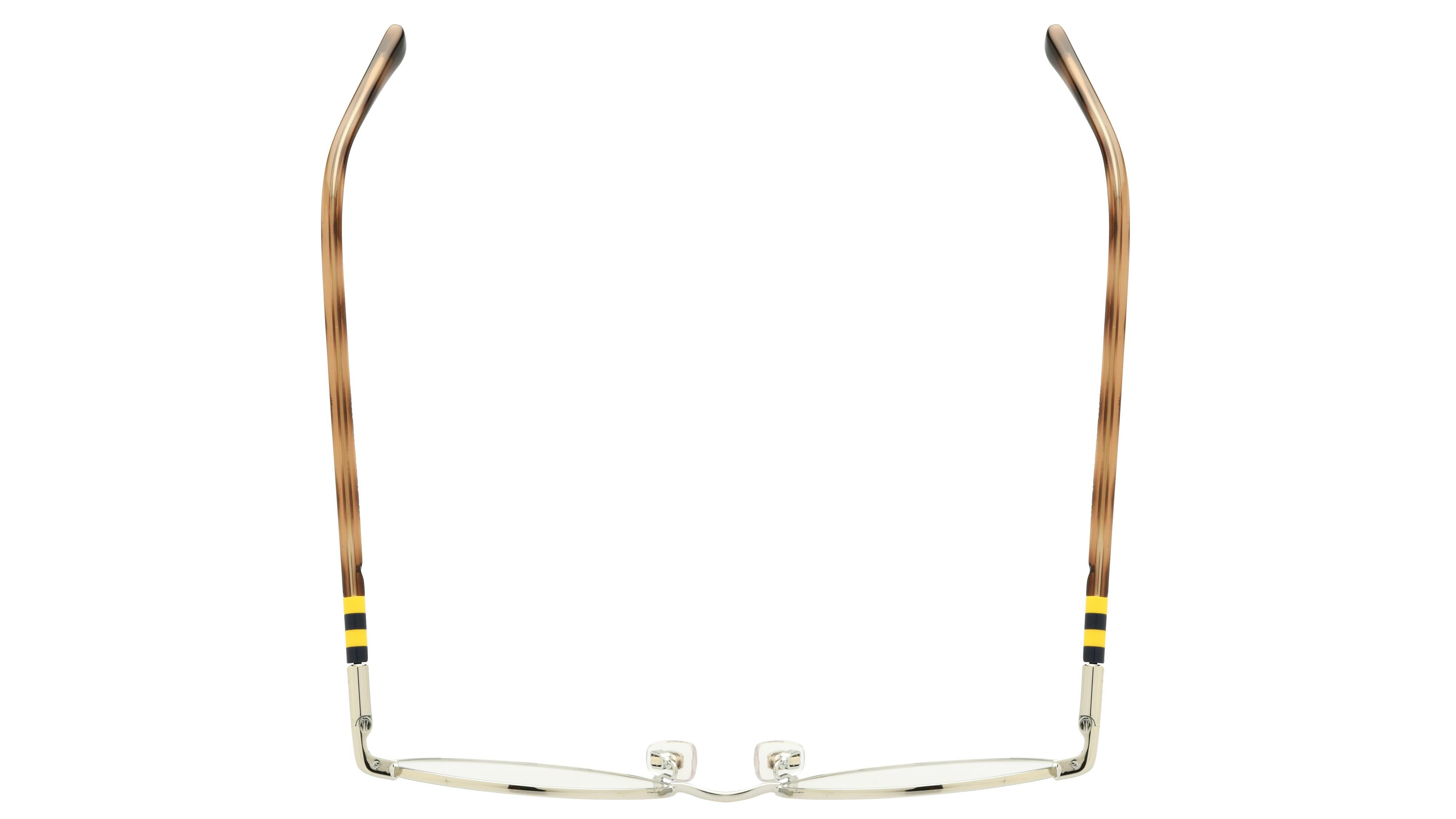 Lunettes de vue Polo Ralph Lauren Homme Gris Ronde PH1236 Dessus