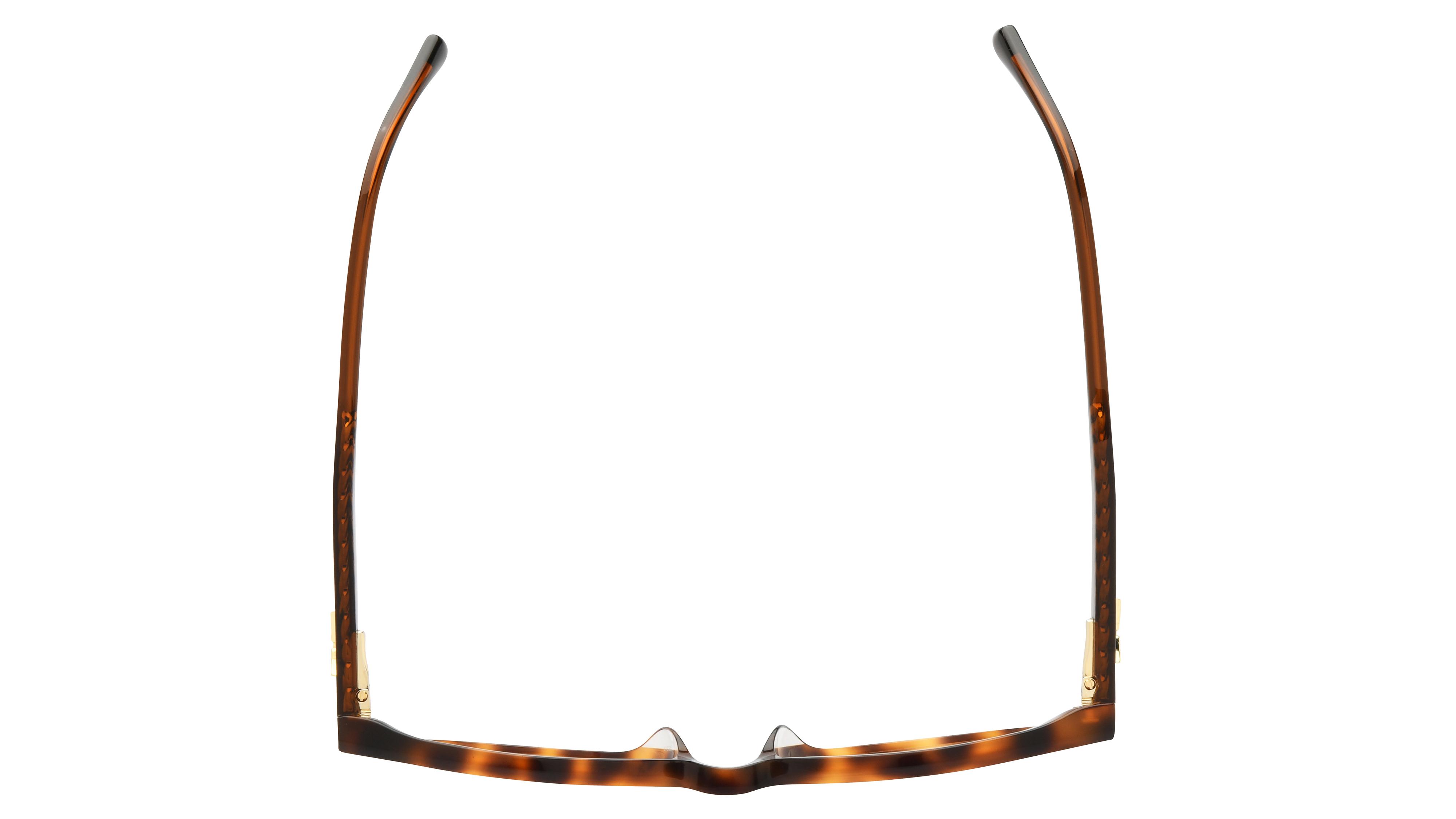Lunettes de vue Zadig & Voltaire Femme Ecaille Pantos Vzv438 Dessus