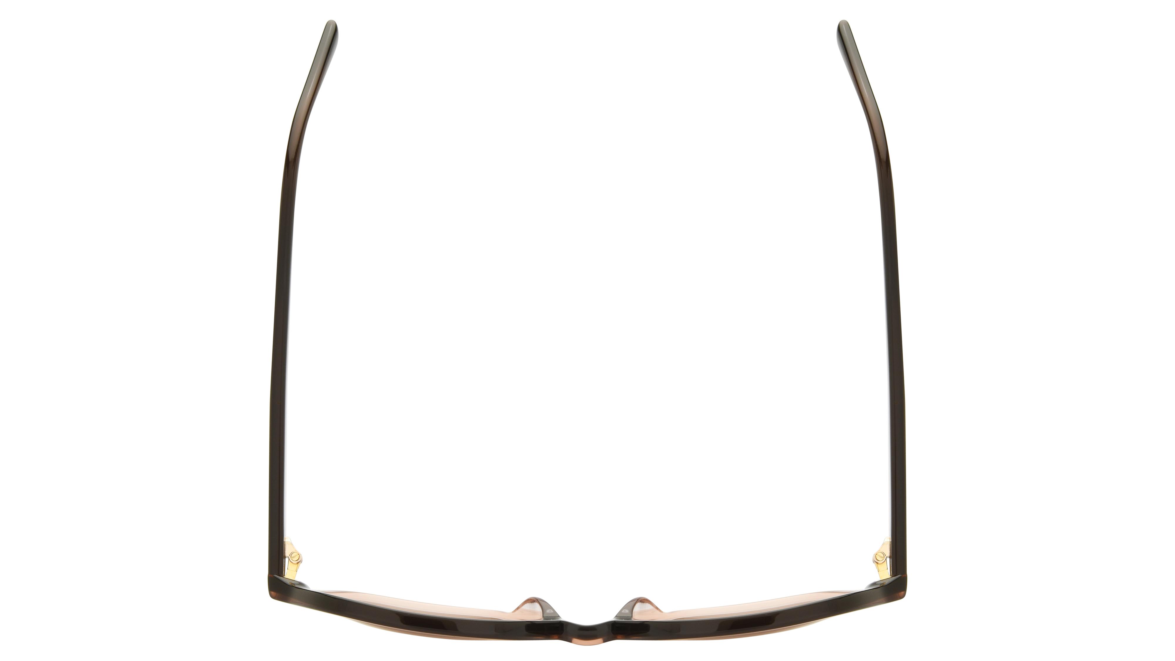 Lunettes de soleil Pol&Sun Femme Marron Tonneau Pos2605 Dessus