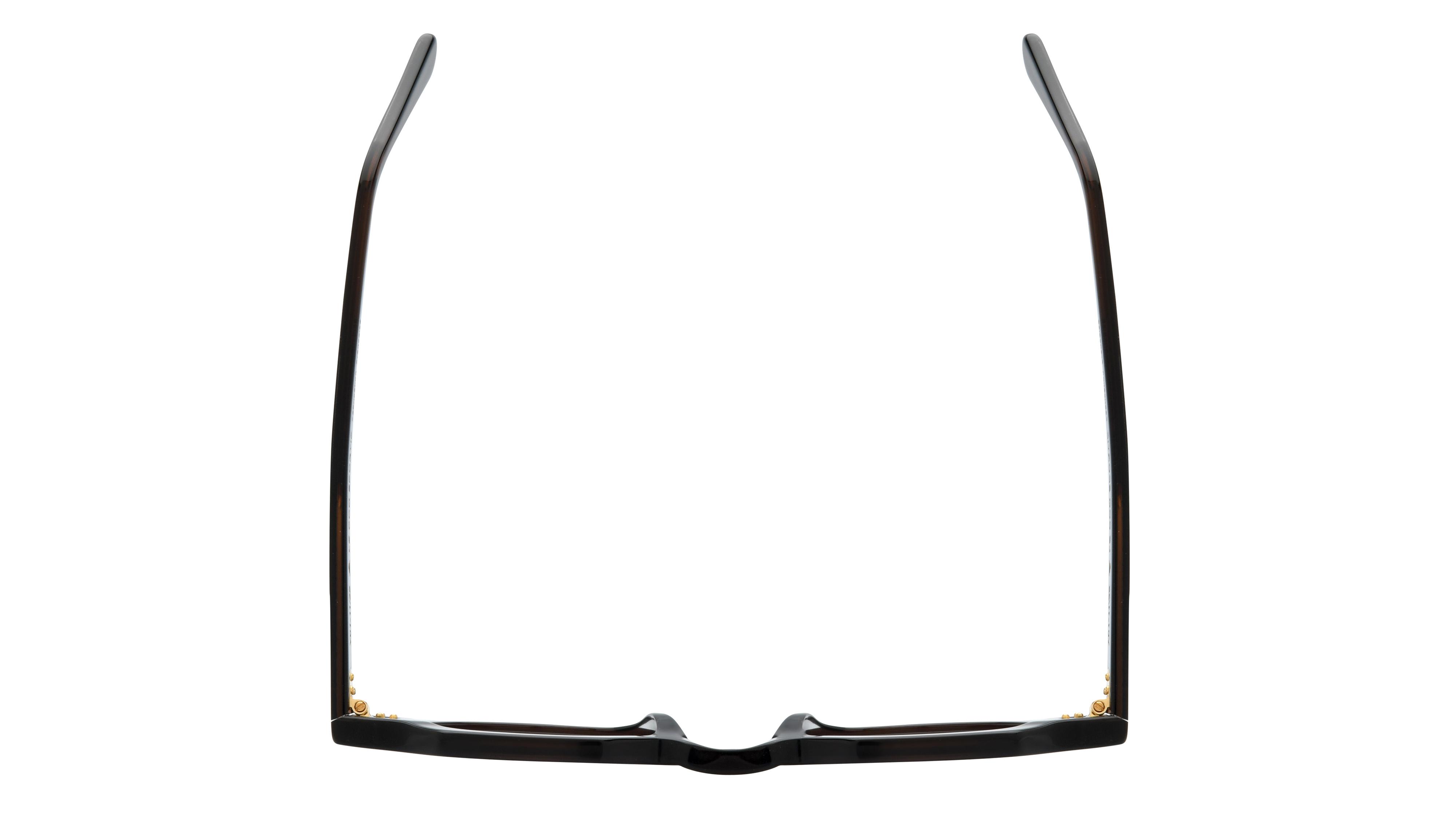 Lunettes de vue Le Coq Sportif Homme Marron Pantos Lcs2508 Dessus