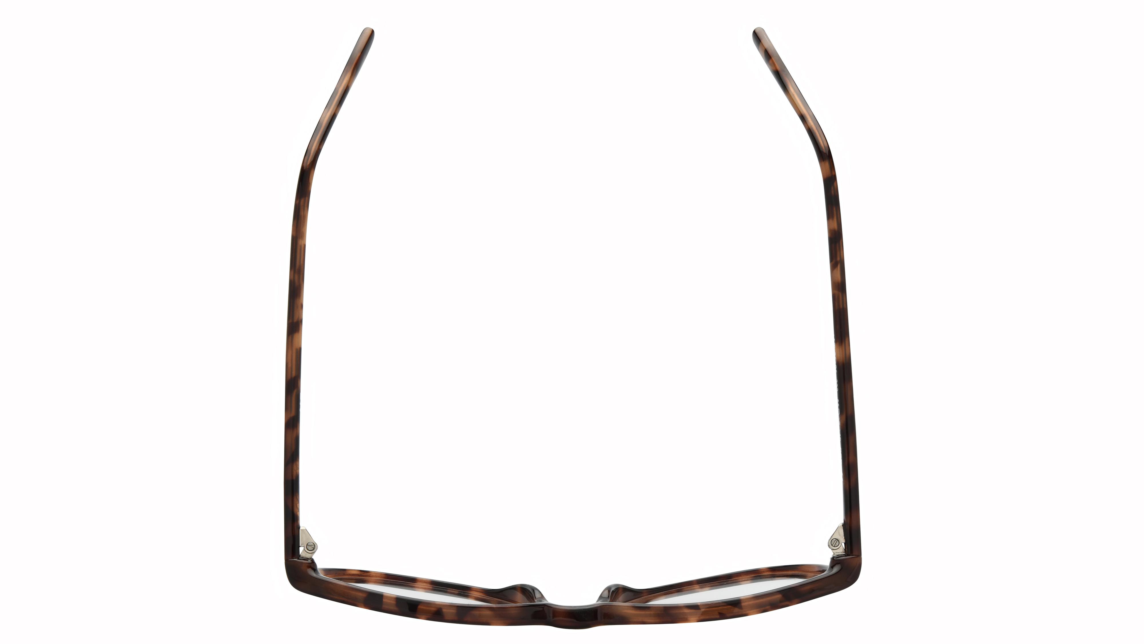 Lunettes de vue Alternance Femme Ecaille Pantos alt26106 Dessus
