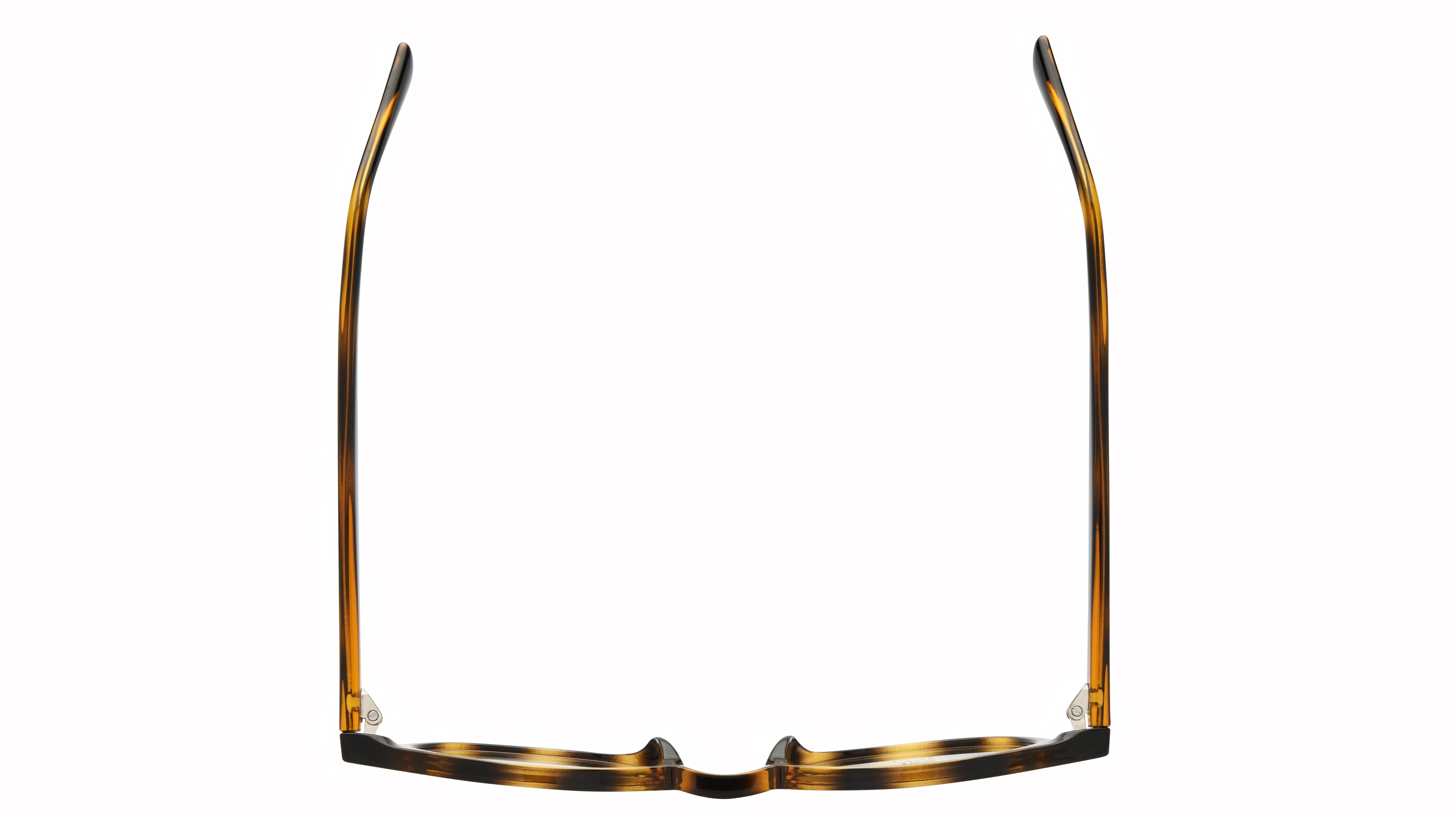 Lunettes de vue têtes à TETES Homme Ecaille Pantos tat2604 Dessus