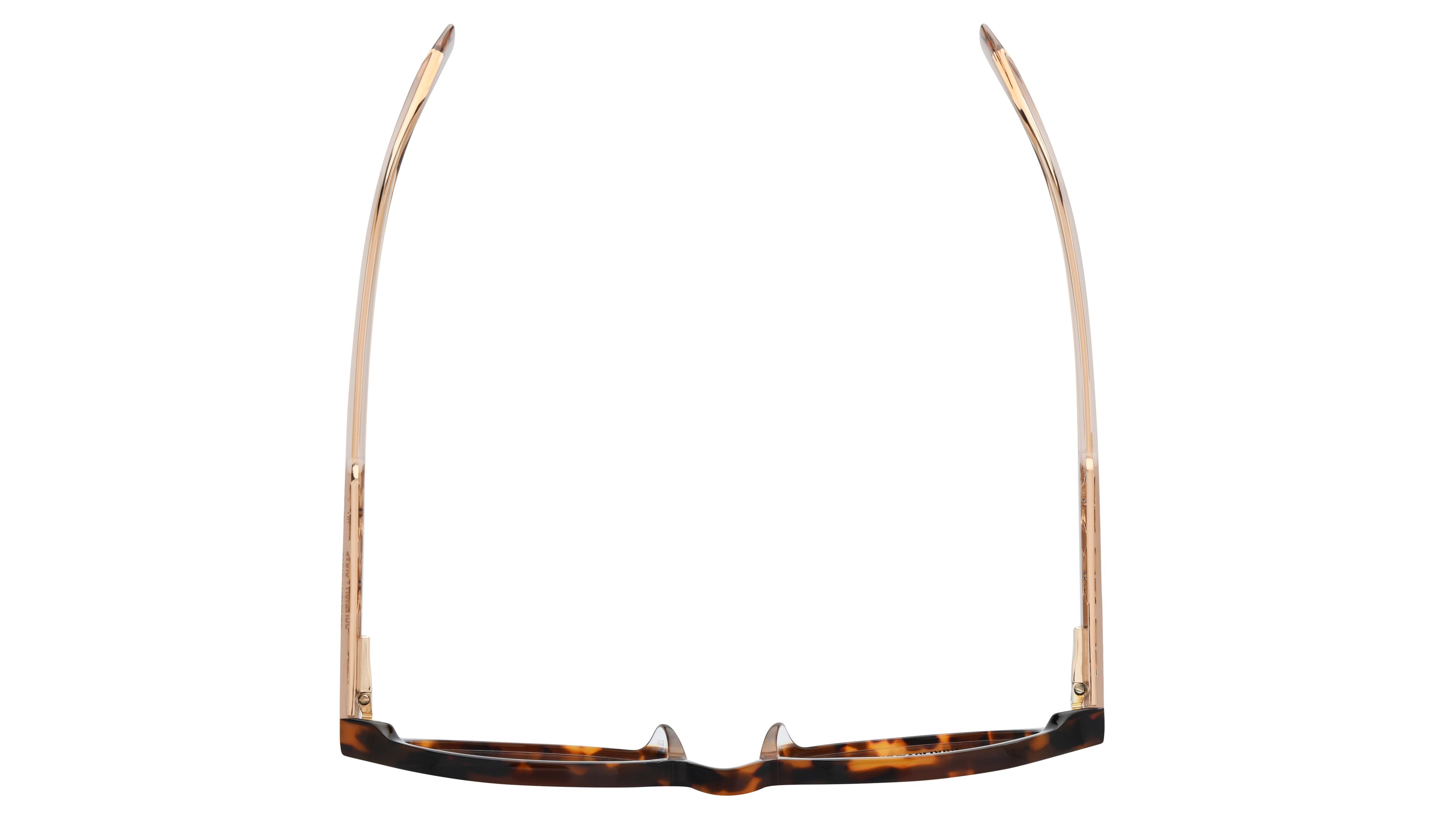 Lunettes de vue Zadig & Voltaire Femme Ecaille Pantos VZV499 Dessus