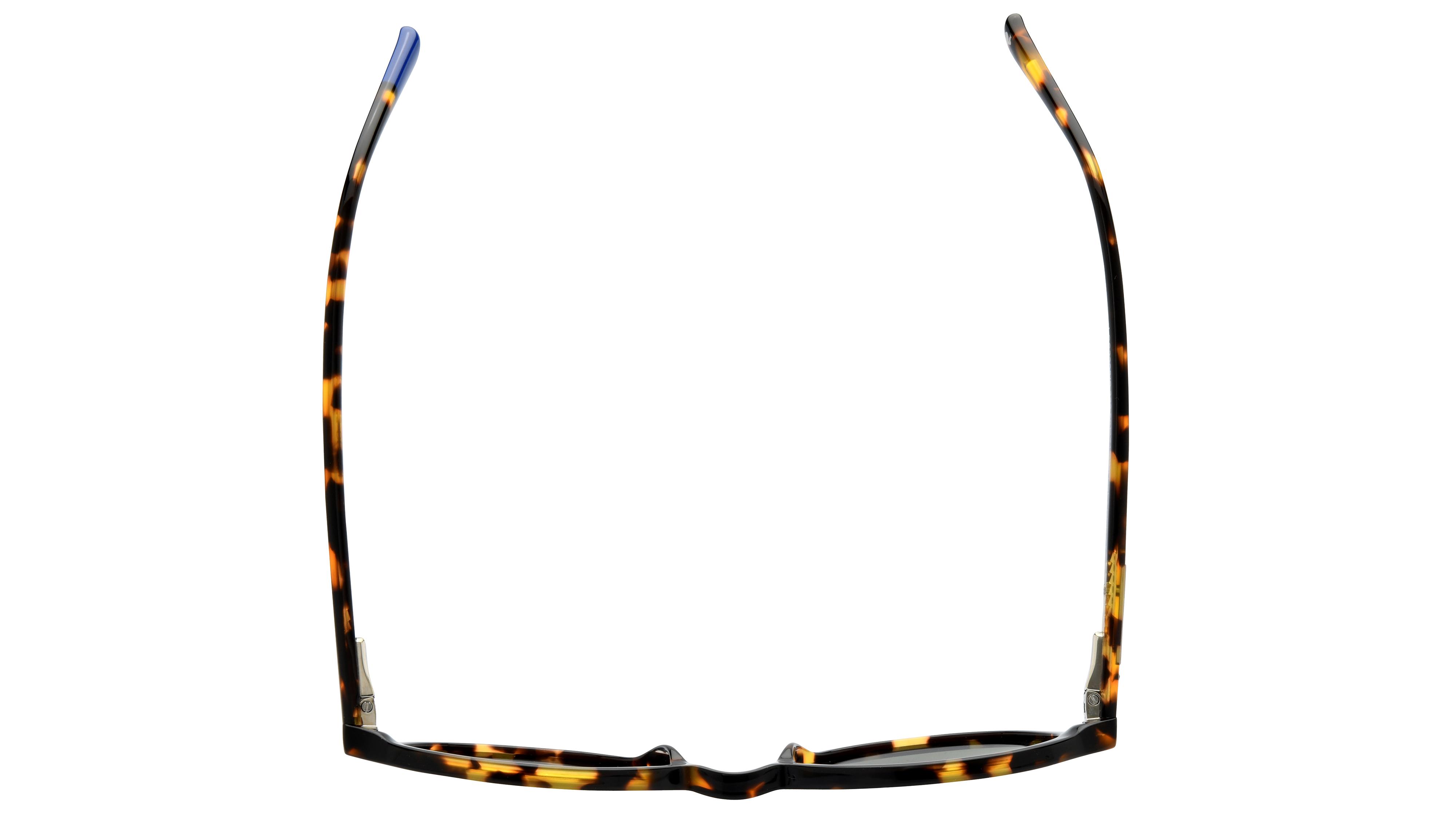 Lunettes de soleil Le Coq Sportif Homme Ecaille Ronde Lcs2308/S Dessus
