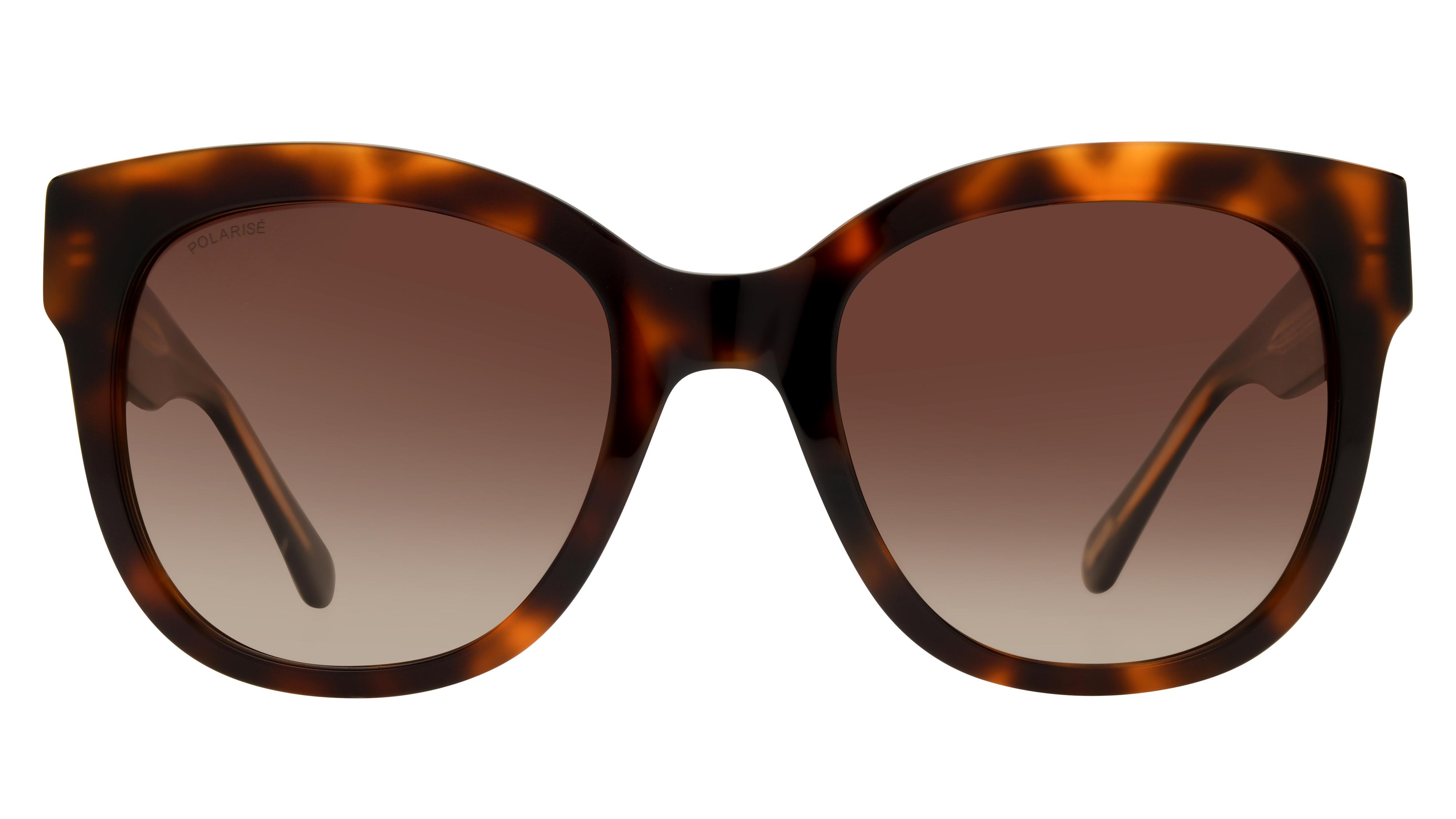 Lunettes de soleil Pol&Sun Femme Ecaille Papillon Pos2502 Face