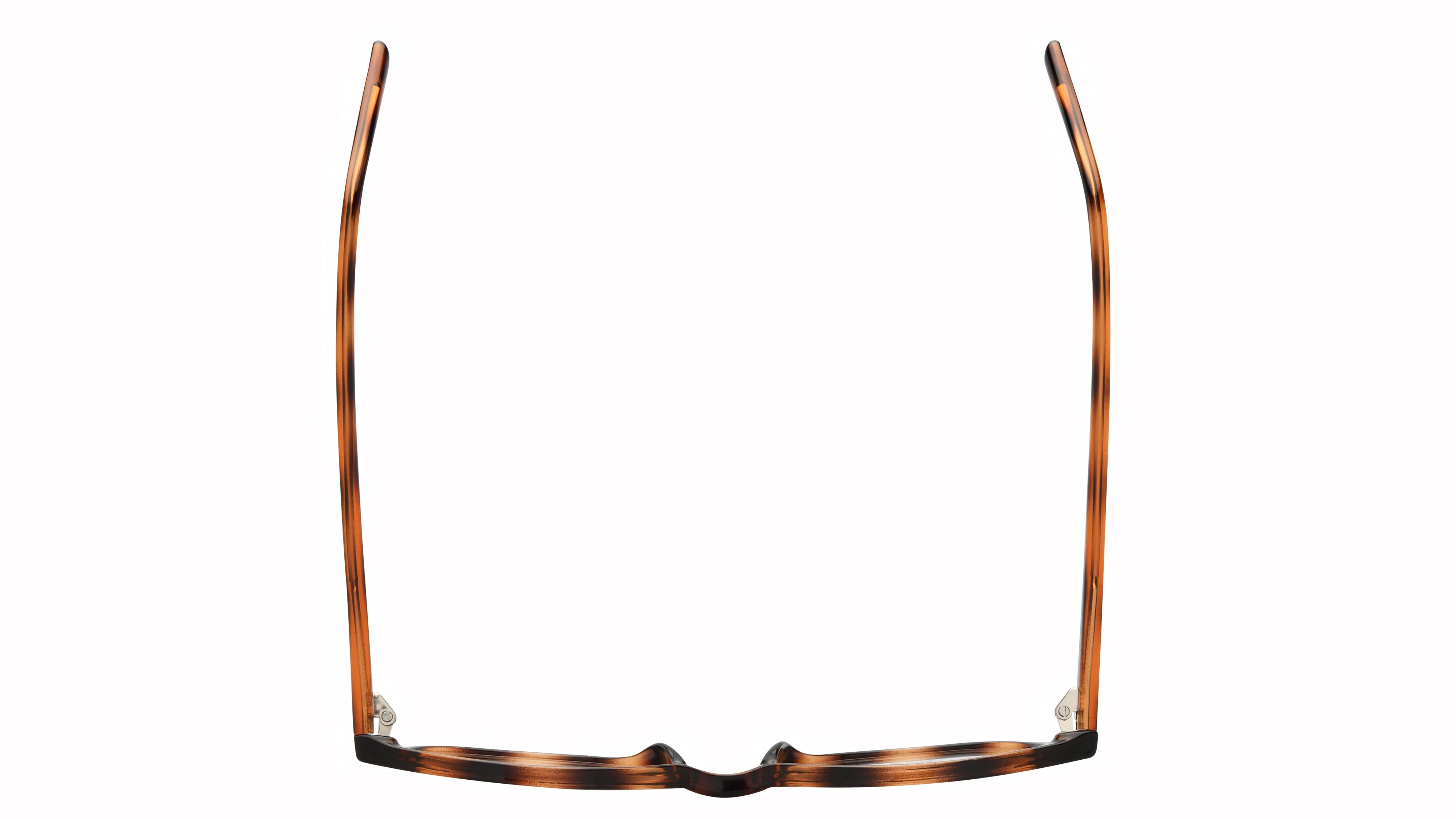 Lunettes de vue têtes à TETES Femme Ecaille Pantos tat2104 Dessus