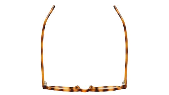 Lunettes de vue Alternance Femme Ecaille Tonneau alt26111 Dessus