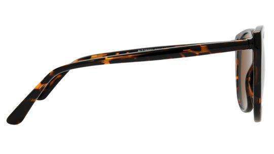 Lunettes de soleil Alternance Femme Ecaille Papillon Alt25201 Droite