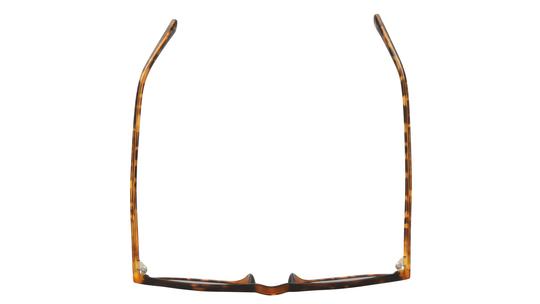 Lunettes de soleil Alternance Enfant Ecaille Pantos Alt25220 Dessus