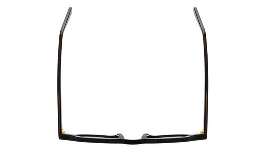 Lunettes de soleil Le Coq Sportif Homme Marron Pantos Lcs2501/S Dessus