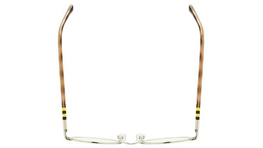 Lunettes de vue Polo Ralph Lauren Homme Gris Ronde PH1236 Dessus