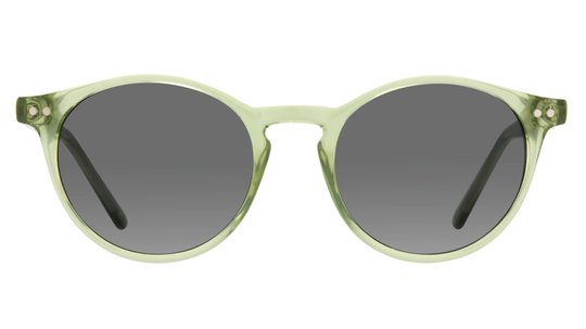 Lunettes de soleil Alternance Mixte Vert Pantos Alt Face