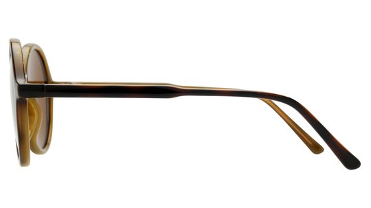 Lunettes de soleil Alternance Femme Ecaille Ronde Alt25203 Gauche