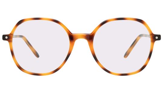 Lunettes de vue Alternance Femme Ecaille Tonneau alt26111 Face