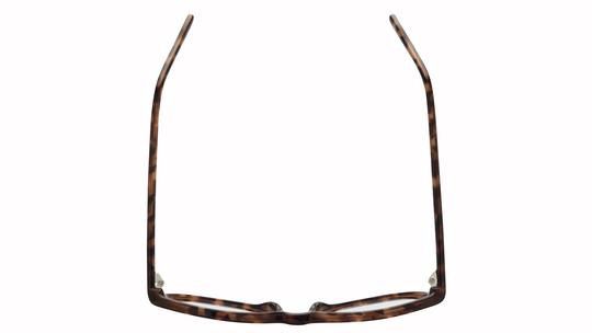Lunettes de vue Alternance Femme Ecaille Pantos alt26106 Dessus