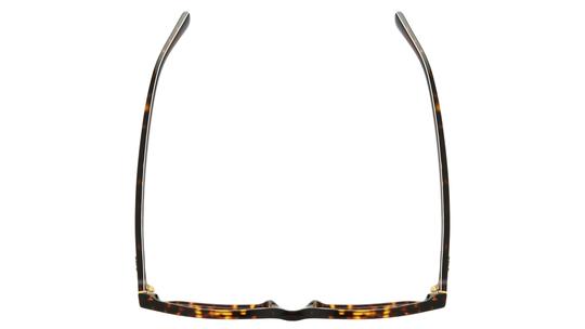 Lunettes de vue Polo Ralph Lauren Homme Ecaille Rectangle PH2284 Dessus