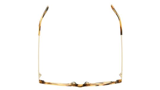 Lunettes de vue Siralya Femme Marron Tonneau Sir2508 Dessus