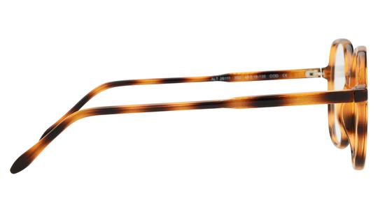 Lunettes de vue Alternance Femme Ecaille Tonneau alt26111 Droite