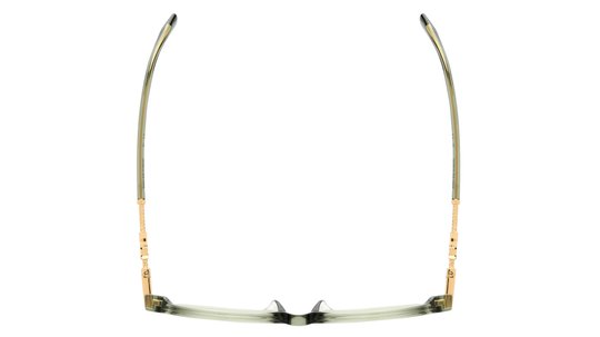 Lunettes de vue Zadig & Voltaire Femme Vert Papillon Vzv432 Dessus