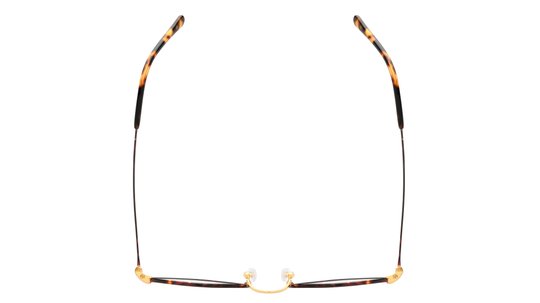 Lunettes de vue Polo Ralph Lauren Homme Or Carré Ph1179 Dessus